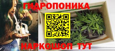 мяу мяу кристалл Пугачёв